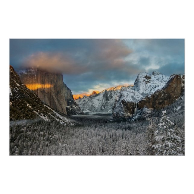 Poster La marque de l'hiver (Devant)