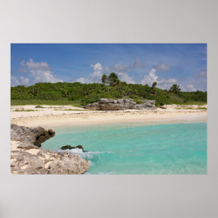 Poster La mer et la jungle