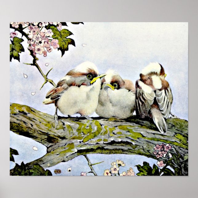 Poster La mésange à longue queue, Edward Julius Detmold (Devant)