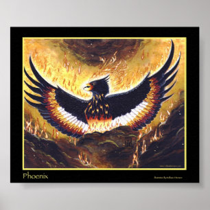 Poster La montée du Phoenix
