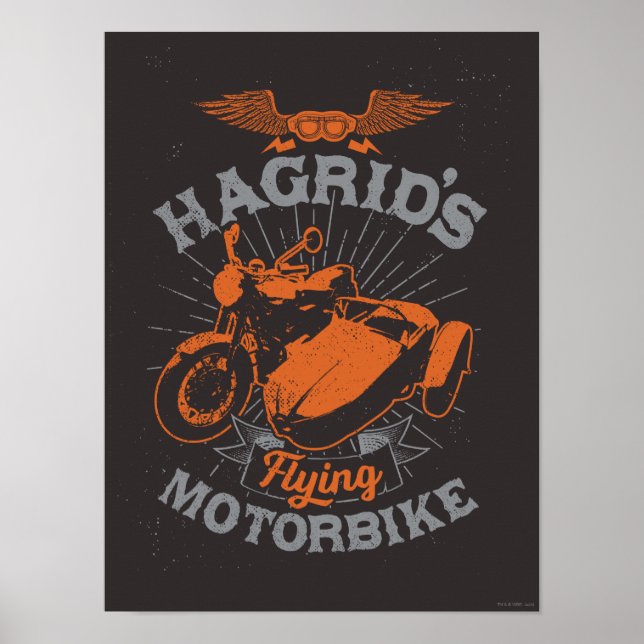 Poster La moto volante de Hagrid (Devant)