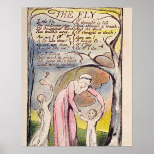 Poster "La mouche", plaquent 37 des 'chansons de