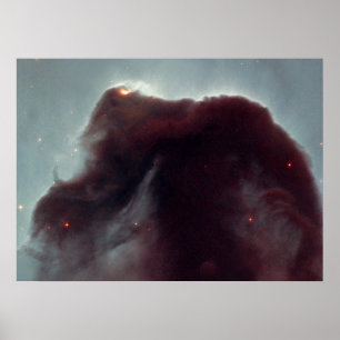 Poster La NASA - La nébuleuse de Horsehead
