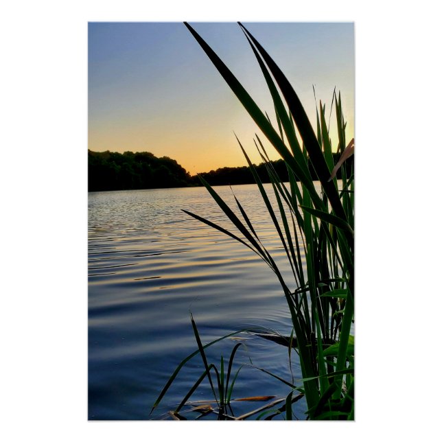 Poster La nature à son meilleur (Devant)