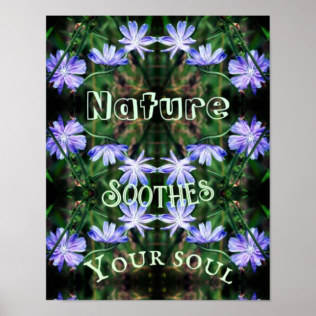 Poster La nature apaise la chicorée sauvage Inspirationne (Devant)