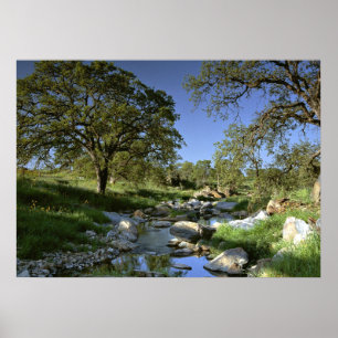 Poster La nature captivante