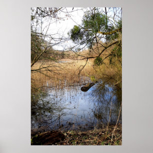 Poster La nature des Madowlands