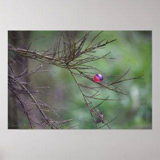 Poster La Nature Du Paintball