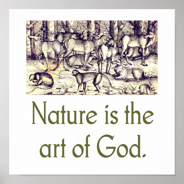Poster La Nature Est L'Art De Dieu (Devant)