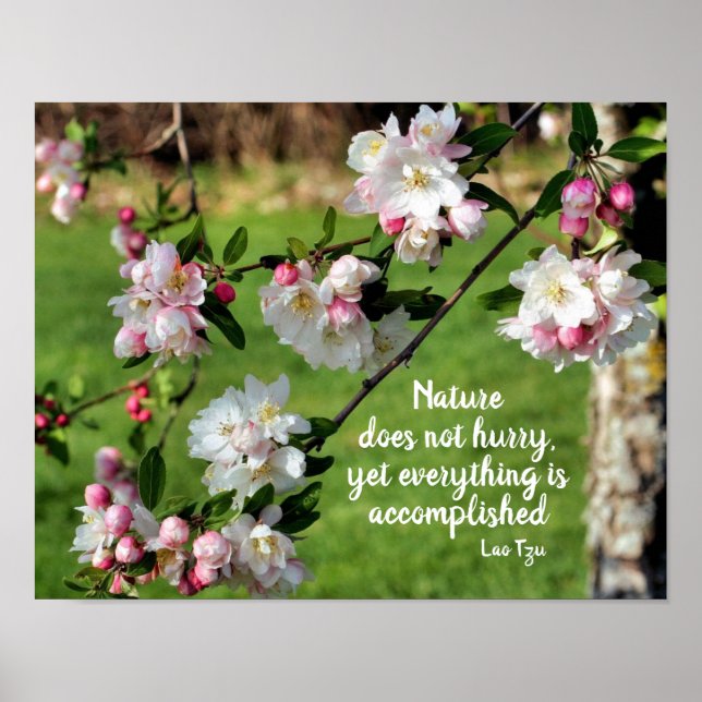 Poster La Nature Ne Se Dépêche Pas De Citer Inspirationne (Devant)