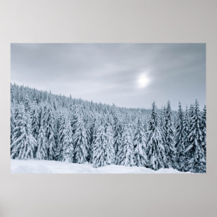 POSTER LA NEIGE COUVERT LES ARBRES PENDANT LA JOURNÉE