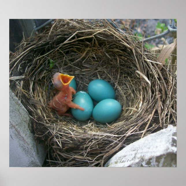 Poster La nouvelle arrivée du printemps (Devant)