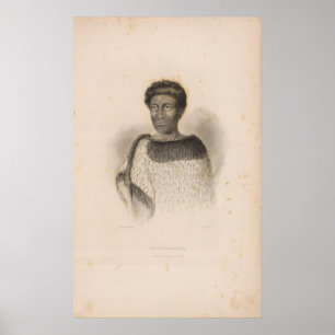 Poster La Nouvelle Zélande 2