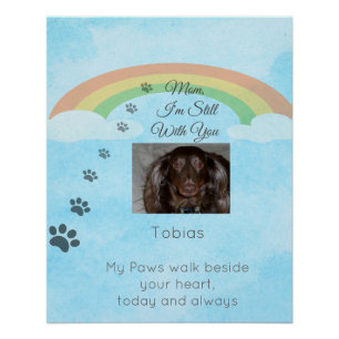 Poster Là où l'amour brille encore