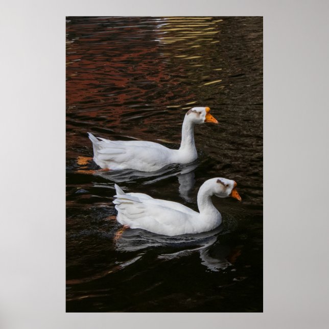 Poster La Paire (Devant)