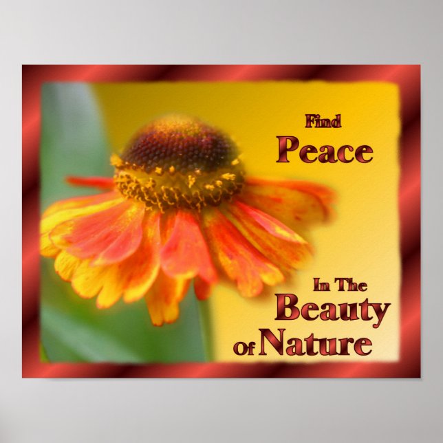 Poster La Paix Dans La Nature Zinnia Fleur Inspiration (Devant)
