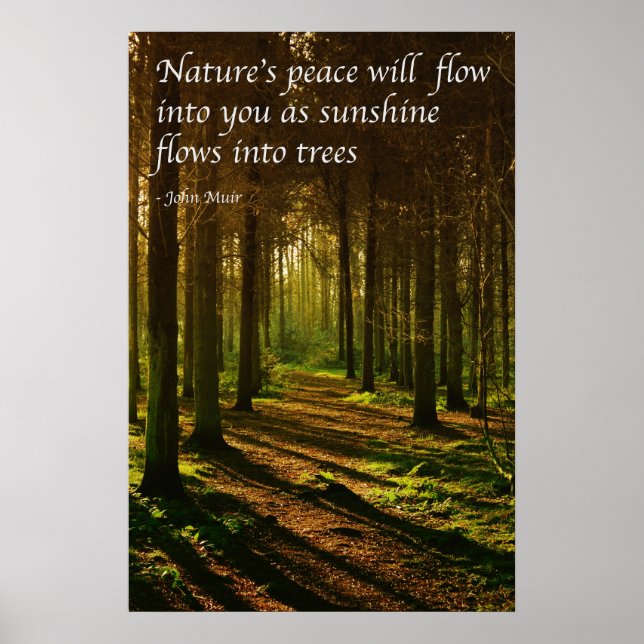 Poster 'La paix de la nature va couler dans vous' J Muir  (Devant)