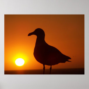 Poster La paix soit morte