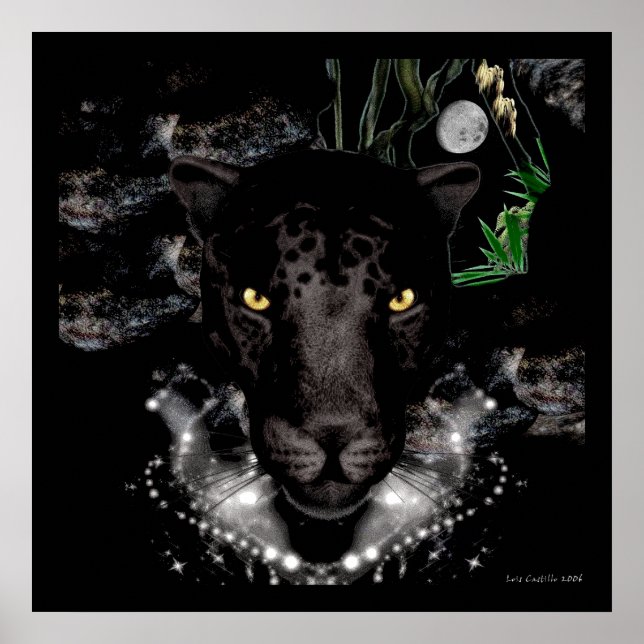Poster La Panthère noire (Devant)