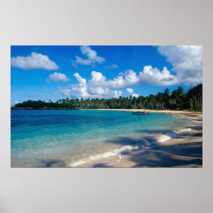 Poster La péninsule de La Samana, République dominicaine,