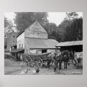 Poster La Pennsylvanie Farm, 1906. Photo vintage