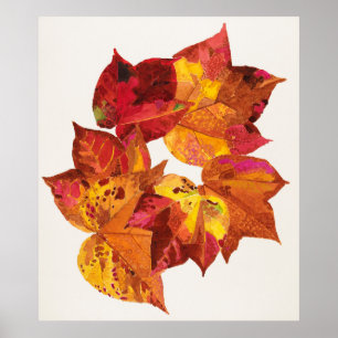 Poster La pente de Stolk