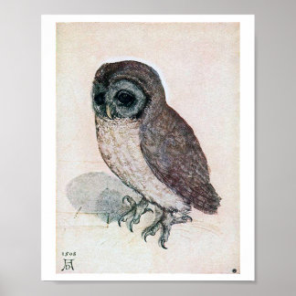 Poster La Petite Chouette, Albrecht Durer