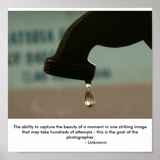 Poster La photographie est... (Devant)