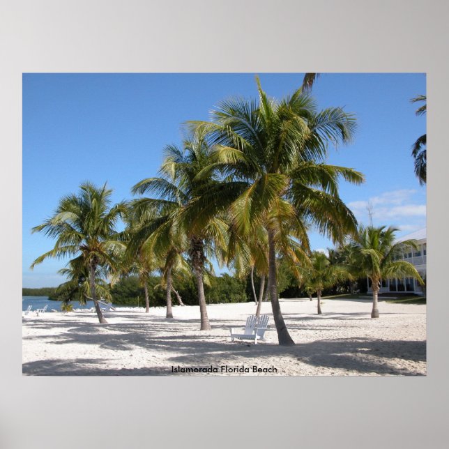 Poster La plage d'Islamorada en Floride (Devant)