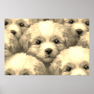 Poster La portée de chiots blonds sur un mur