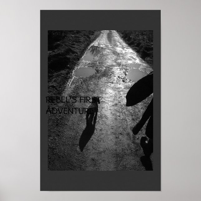 Poster La première aventure de Rebel (Devant)