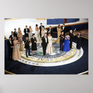 Poster La première famille à la boule de liberté