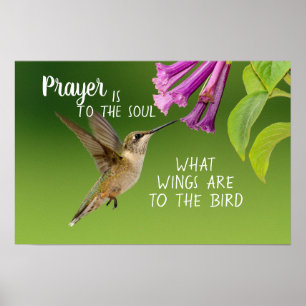 Poster La prière de colibri est à l'âme