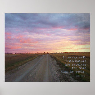 Poster La promenade de John Muir