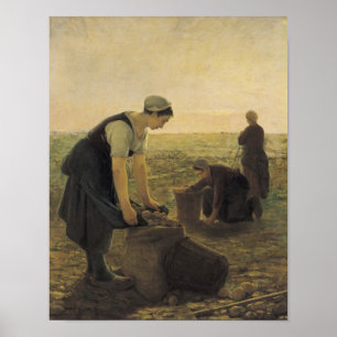 Poster La récolte de pommes de terre