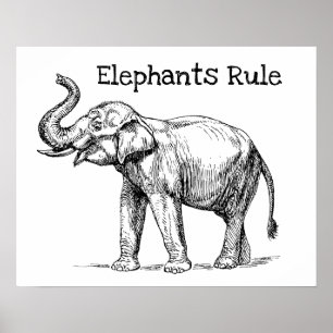 Poster La règle des éléphants