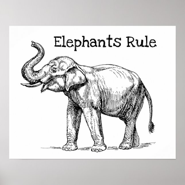 Poster La règle des éléphants (Devant)