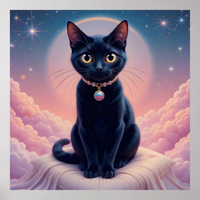 Poster La Reine Du Ciel De Chat Noir (Devant)