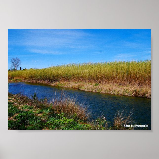 Poster La rivière Túria (Devant)