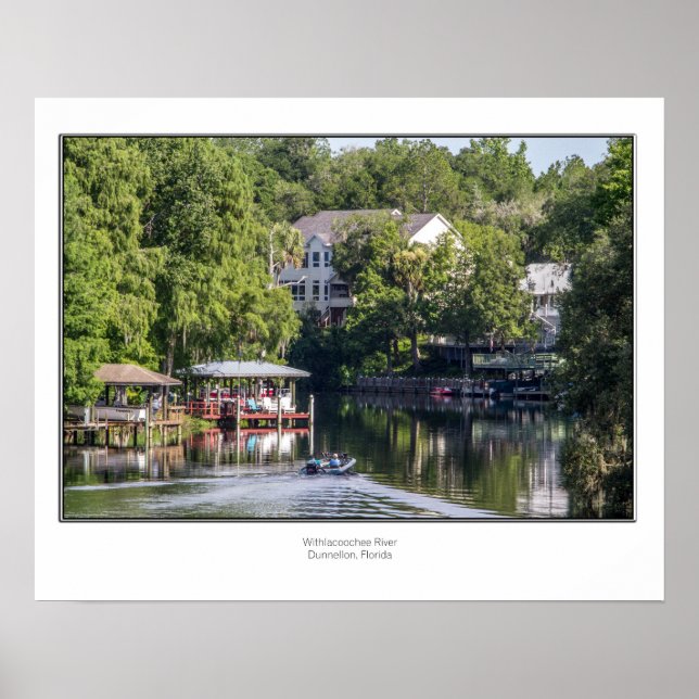 Poster La rivière Withlacoochee (Devant)