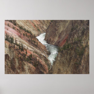 Poster La rivière Yellowstone
