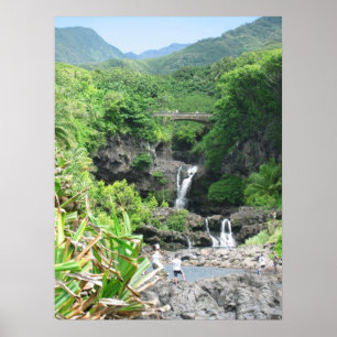 Poster La route à Hana