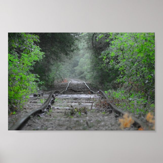 Poster La route moins parcourue (Devant)