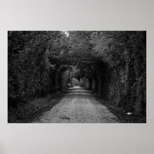 Poster La route sombre (Devant)
