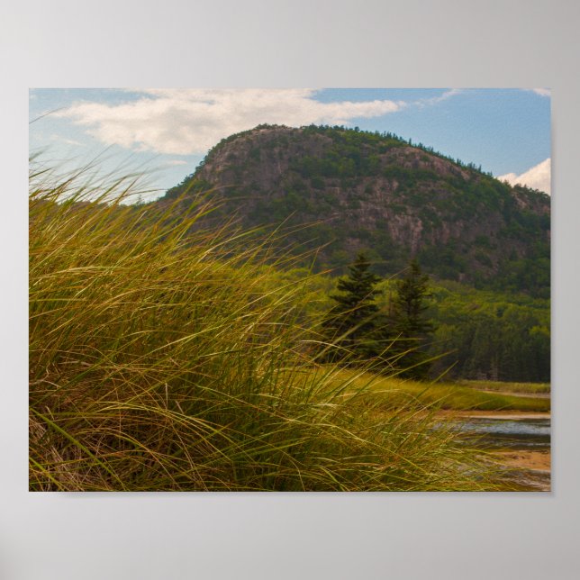 Poster La ruche, Parc national de l'Acadie, Maine (Devant)