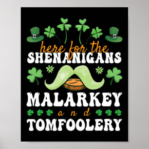 Poster La Saint-Patrick ici pour les bêtises et les sotti