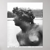 La Saône, depuis le Parterre