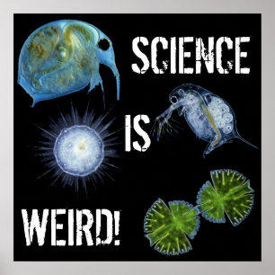 Poster La Science est d'affiche étrange !