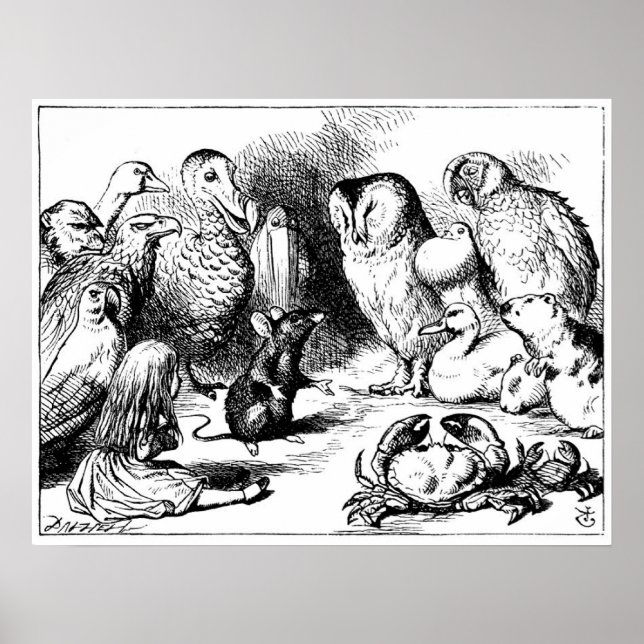 Poster La souris et l'histoire sèche (Devant)