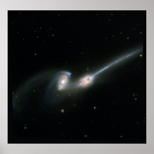 Poster La souris (NGC 4676) - Collising Galaxies (Devant)